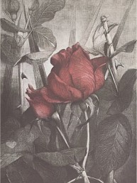 Electron Mezzotint by G H Rothe