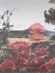 Roseescape Mezzotint by G H Rothe